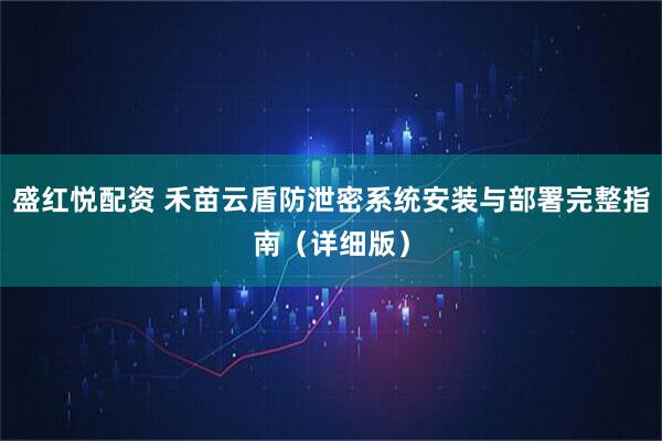 盛红悦配资 禾苗云盾防泄密系统安装与部署完整指南（详细版）
